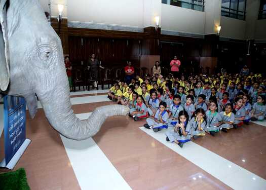 Empathy building session by PETA india
