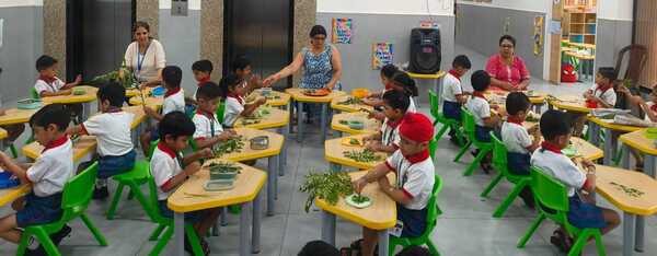 Curry leaves plucking Activity