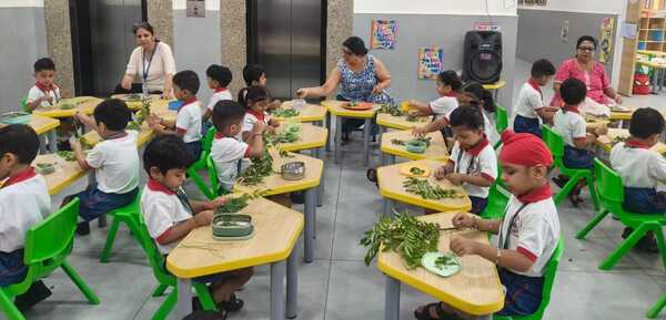 Curry leaves plucking Activity