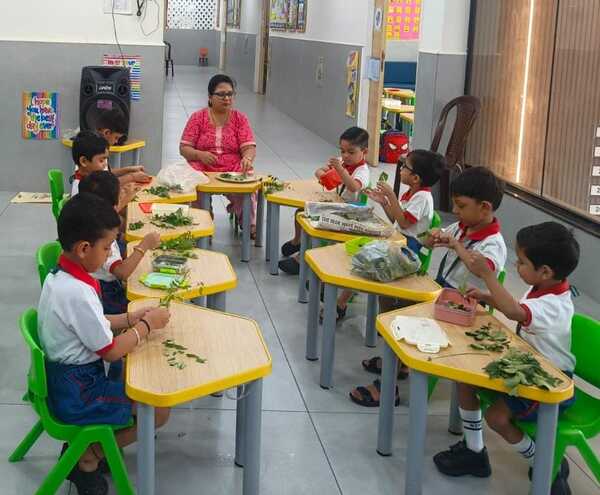 Curry leaves plucking Activity