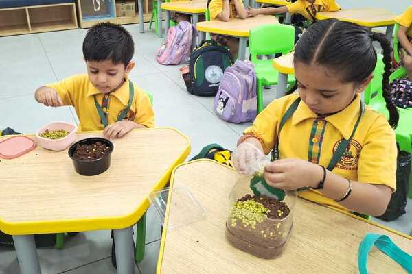 Plant and Grow