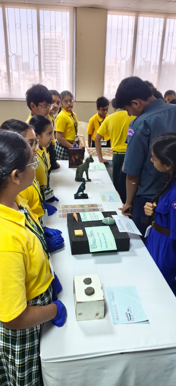 Think Museum Activity
